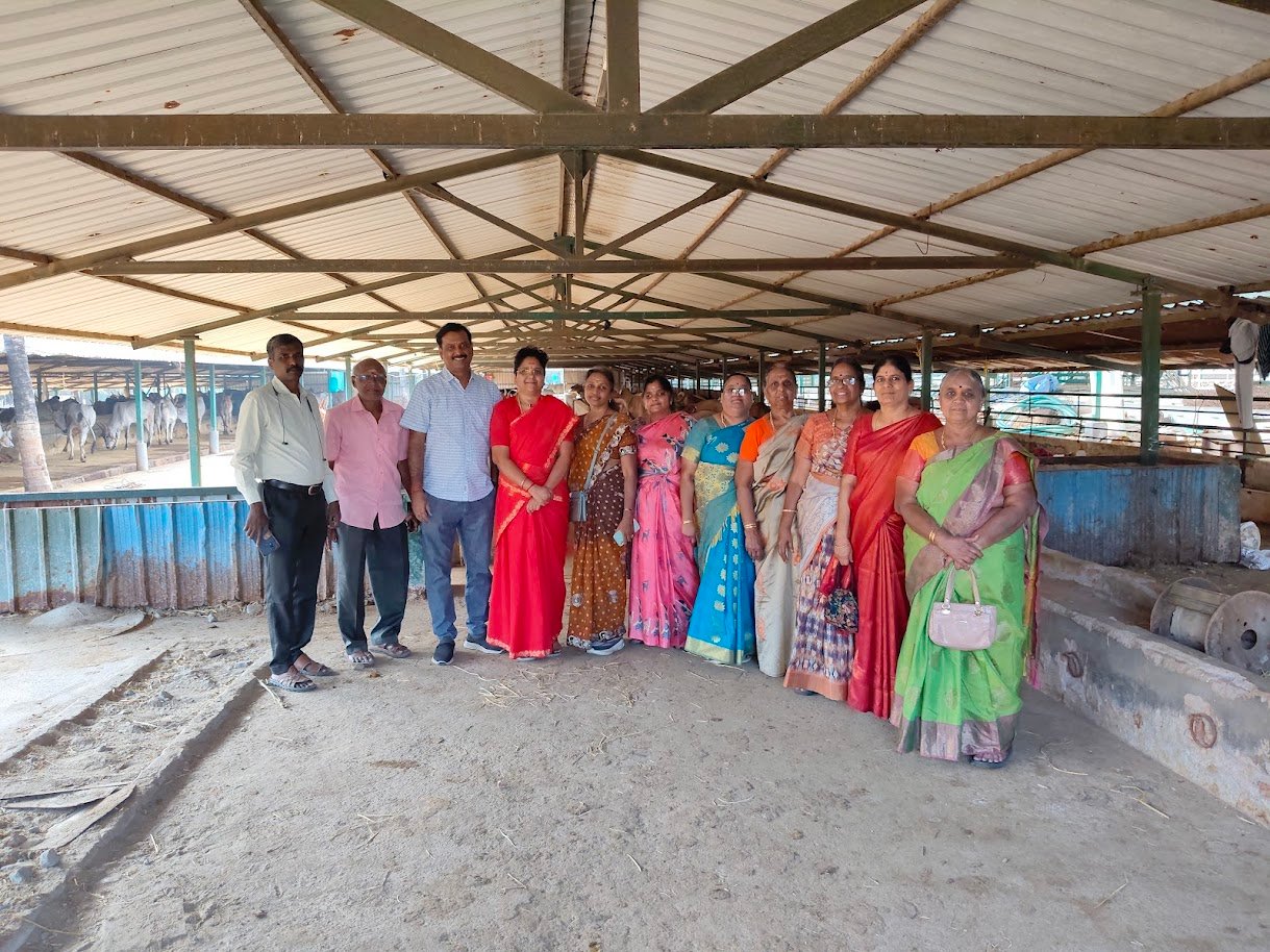 Siddhamma Activity