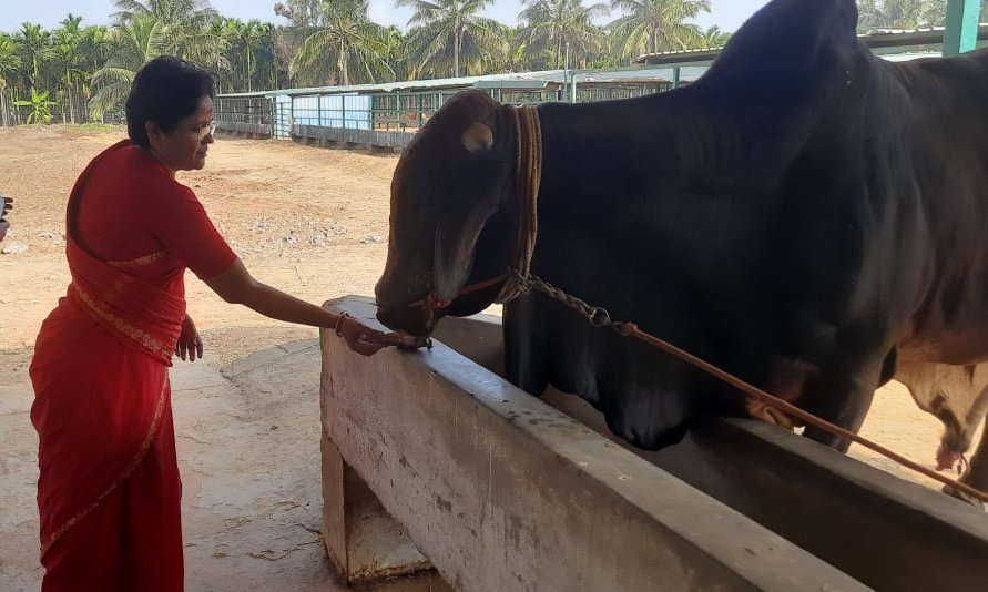 Spiritual activities at Agathiyar Gnana Thabovanam